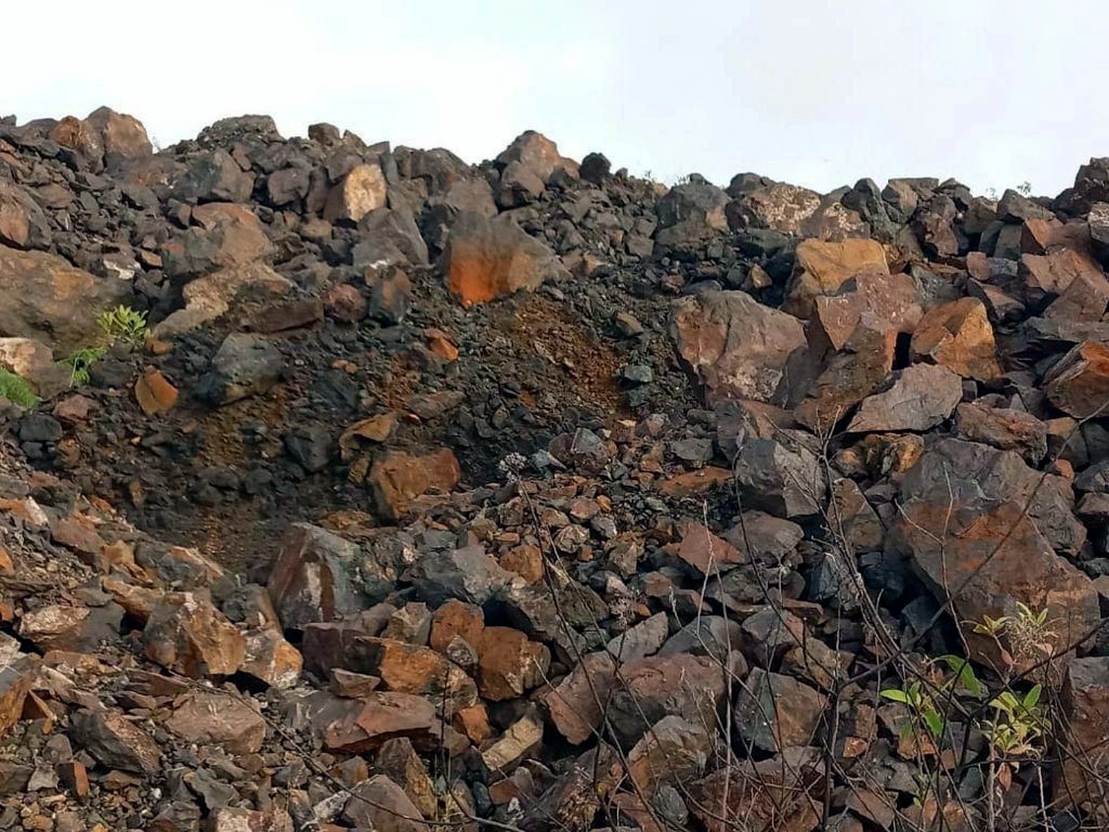 A long bench of sorted rust-brown and grey rock with green vegetation growing along its edge