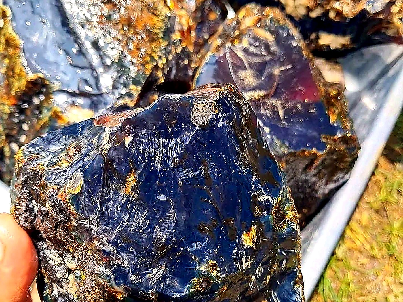 A hand holding a large glassy piece of Honduran blue amber rough with a deep blue sheen and rough brown rind