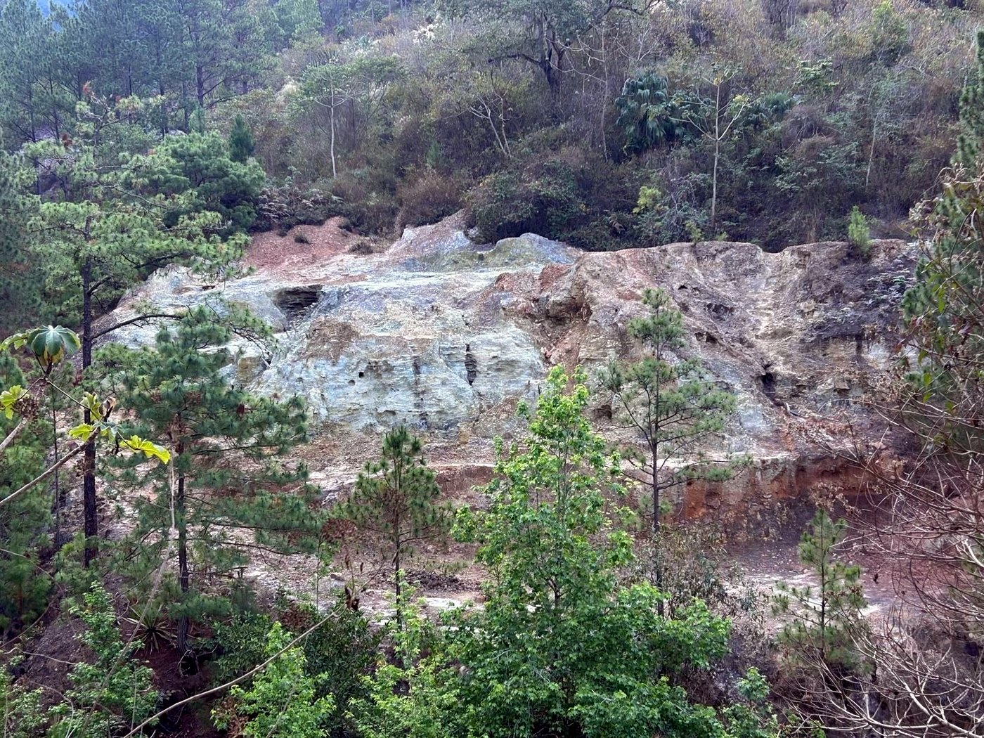 An open terraced mine working face on a forested hillside under a blue sky, surrounded by intact trees