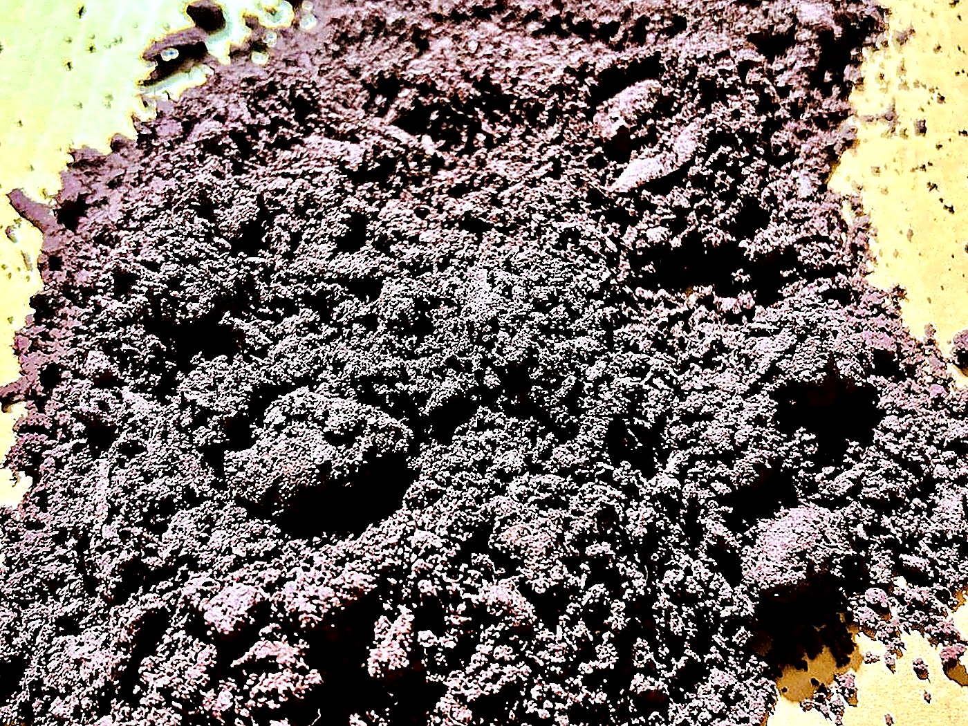A spread of fine dark reddish-brown ground mineral concentrate powder ready for assay and shipment