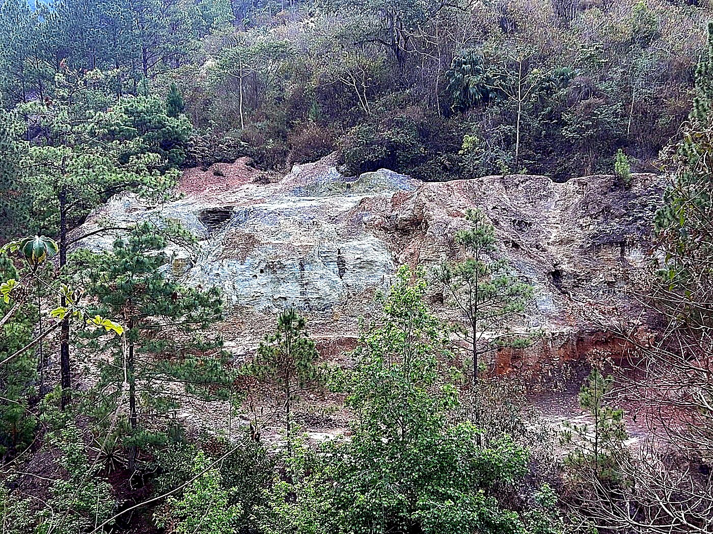 An open terraced mine working face on a forested hillside under a blue sky, surrounded by intact trees