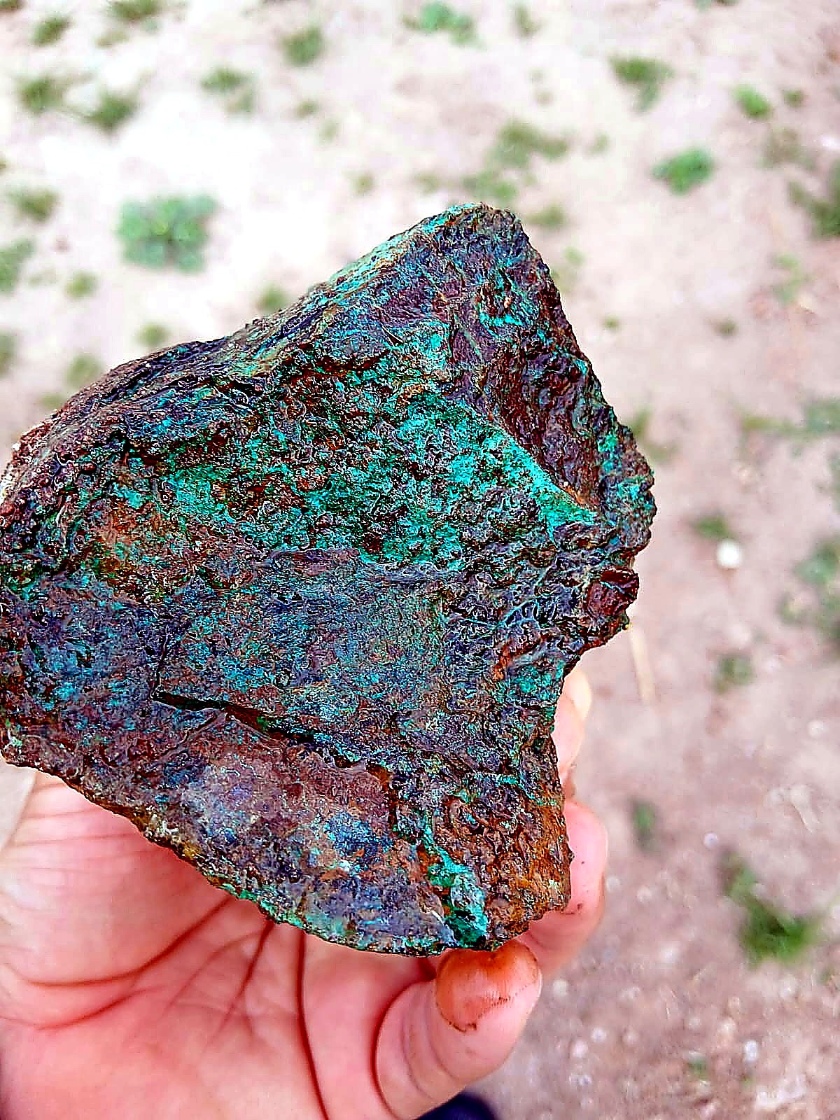 Hand holding a fist-sized rock coated in bright green malachite with brown iron oxide edges