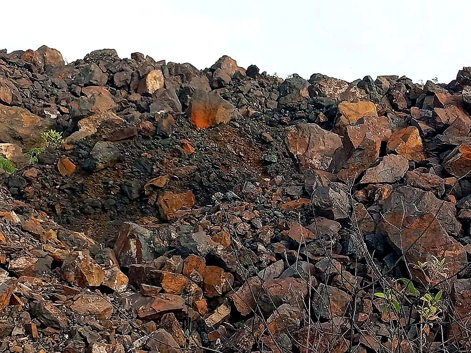 A long bench of sorted rust-brown and grey rock with green vegetation growing along its edge