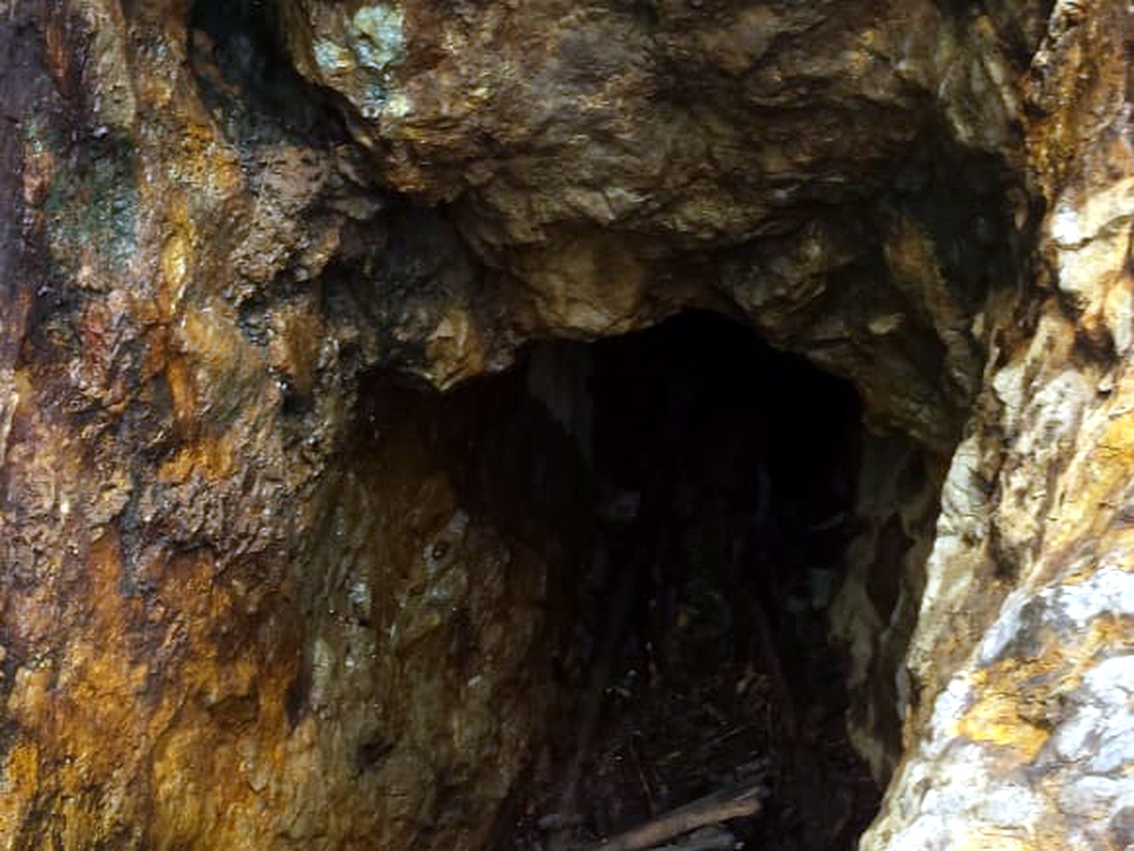 Dark tunnel mouth in yellow-stained quartz rock with rough timber props laid across the entrance