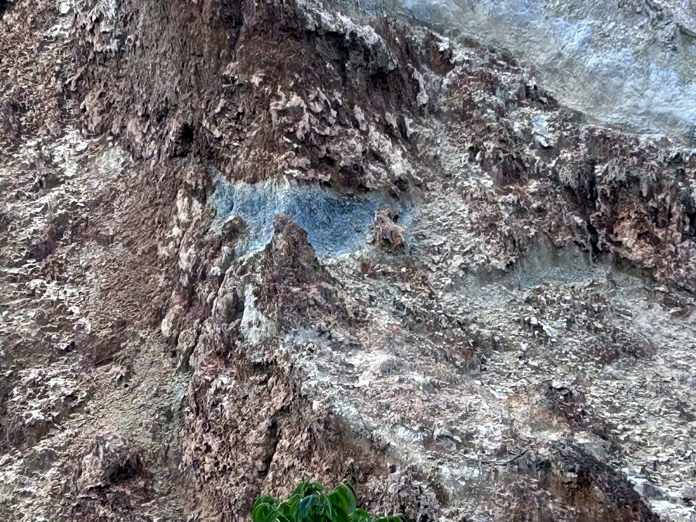 A steep rock wall showing a pale mineralised vein running horizontally through darker host rock