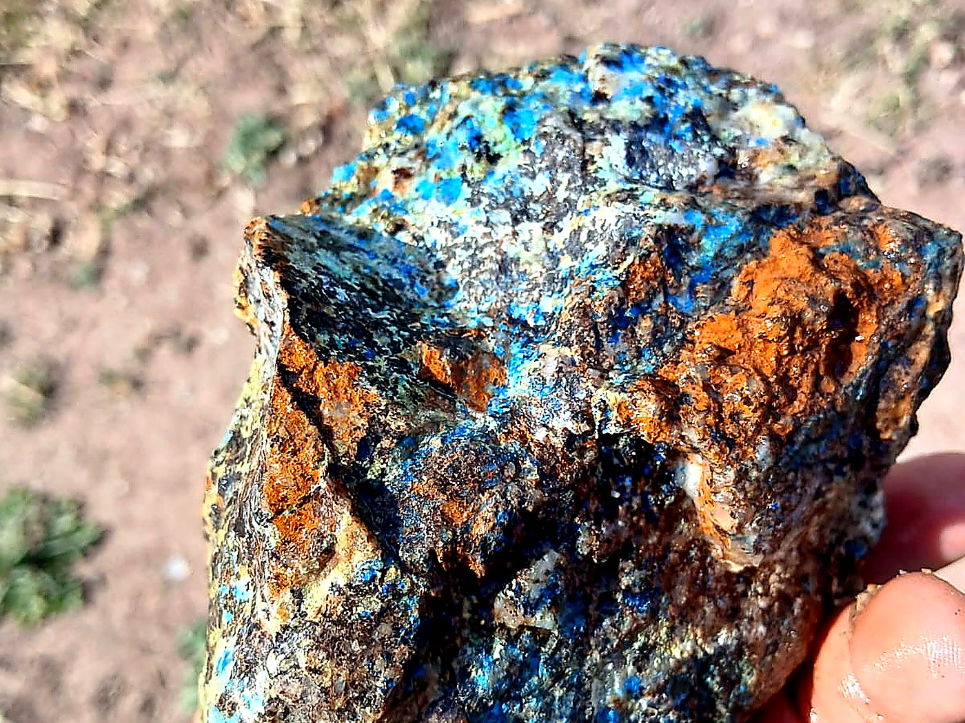 A hand holding a rough copper ore specimen with bright blue azurite and green malachite across orange iron-stained rock