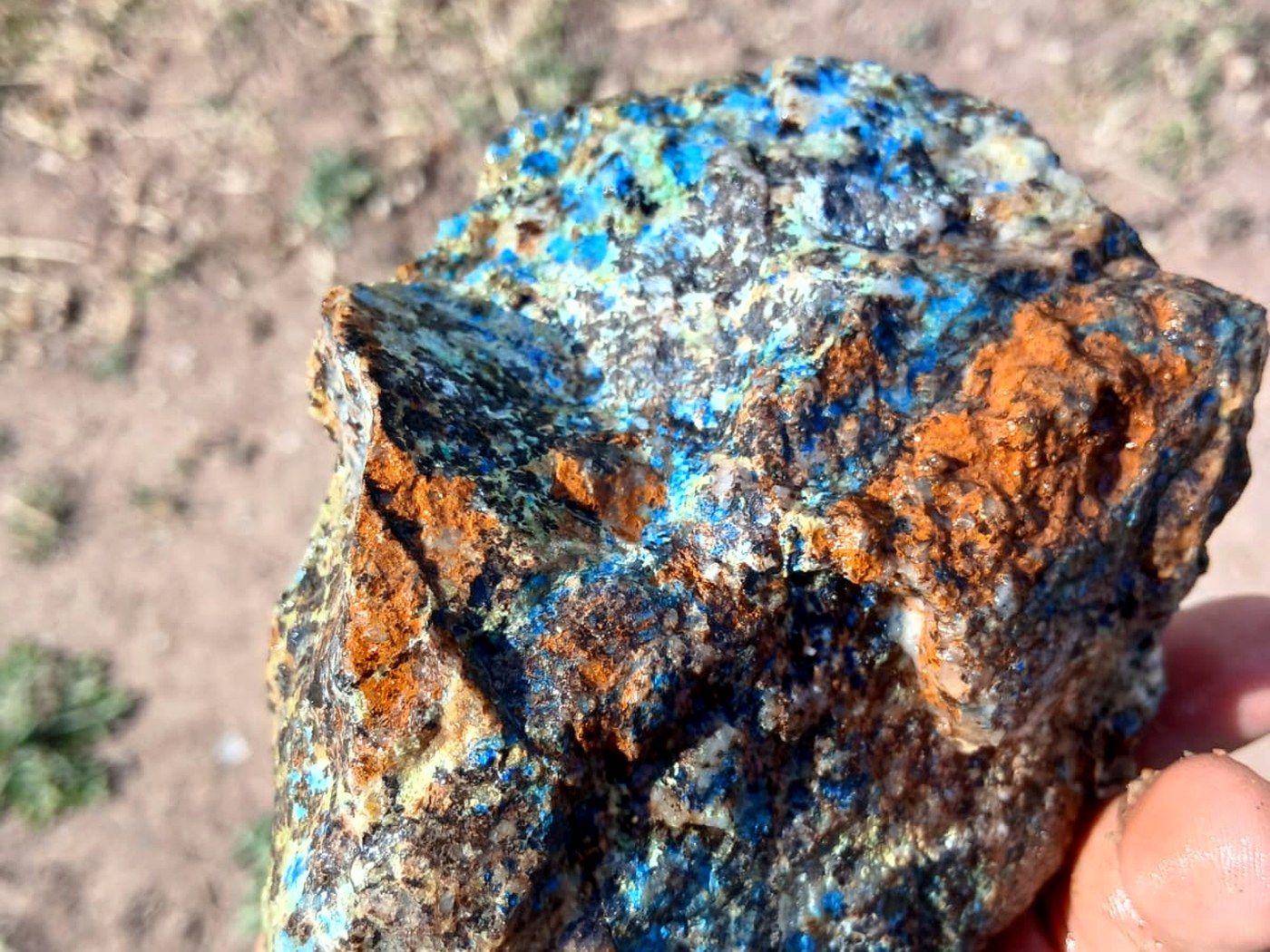 A hand holding a rough copper ore specimen with bright blue azurite and green malachite across orange iron-stained rock